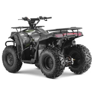 10TEN 200U Black/Green off-road quad in action