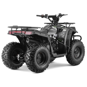 10TEN 200U Black/Green off-road quad in action