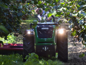 Ferrari Vega V80 / V95 RS Tractors